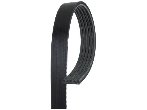 Pasek Wieloklinowy 5Pk1303